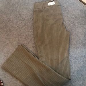 Dress pants
